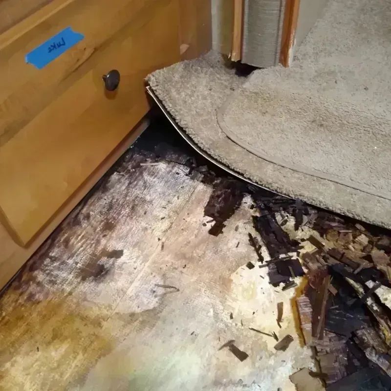 Wood Floor Water Damage in Fairwood, MD